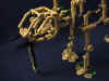 at-at_head.jpg (65157 bytes)