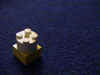 pawn01.jpg (59751 bytes)